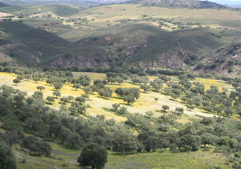 Panoramablick über die Sierra de Aracena in Andalusien, Spanien